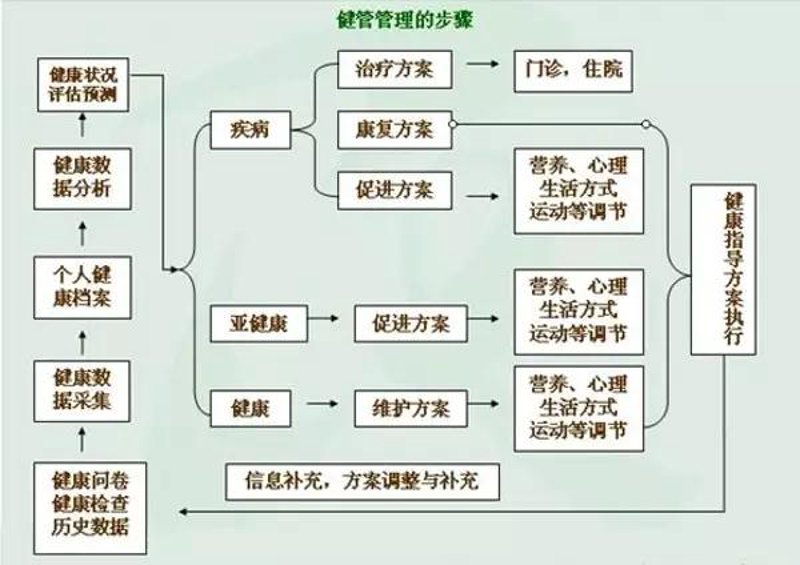 体能训练教案对比解析:新手与高手的差异